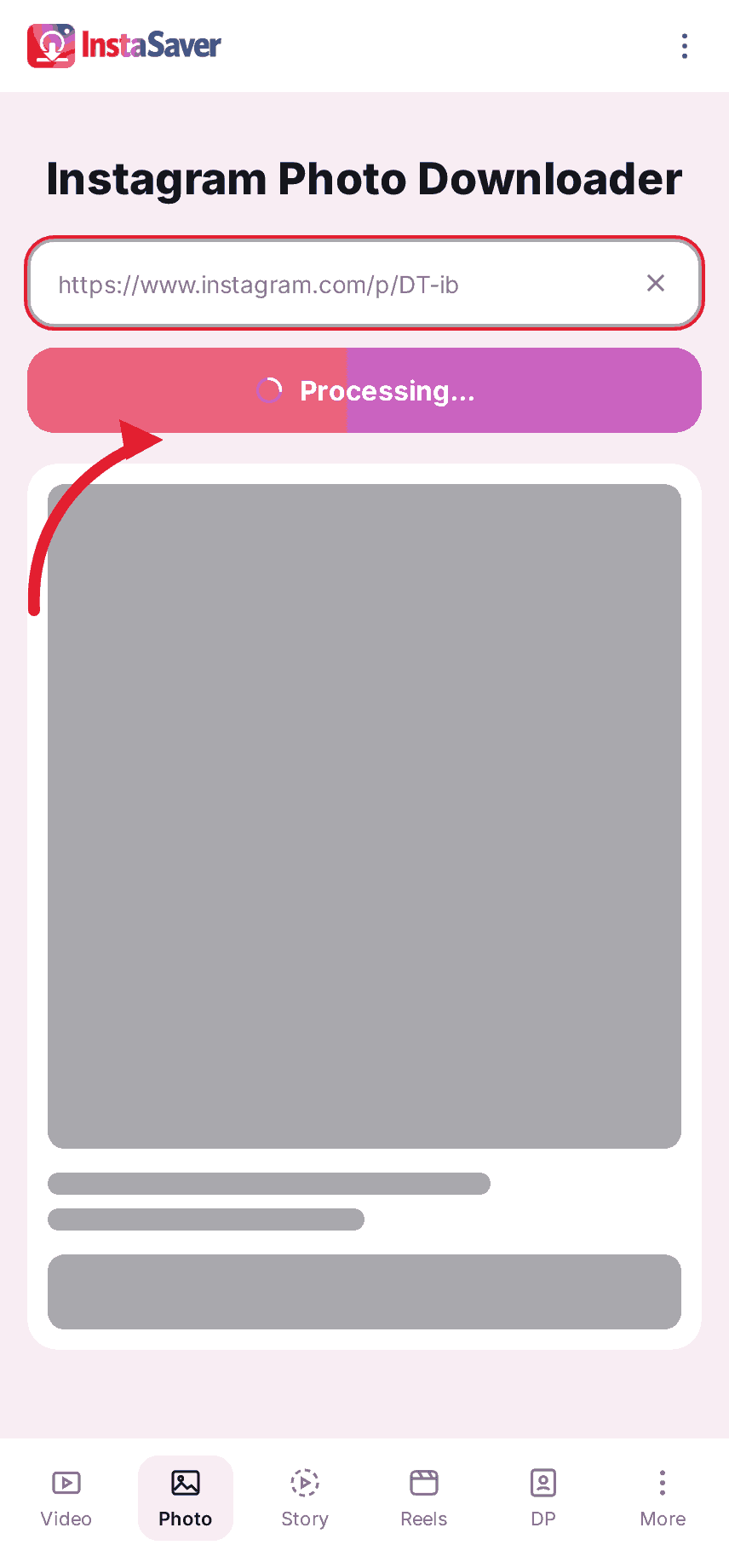 Paste the link into InstaSave